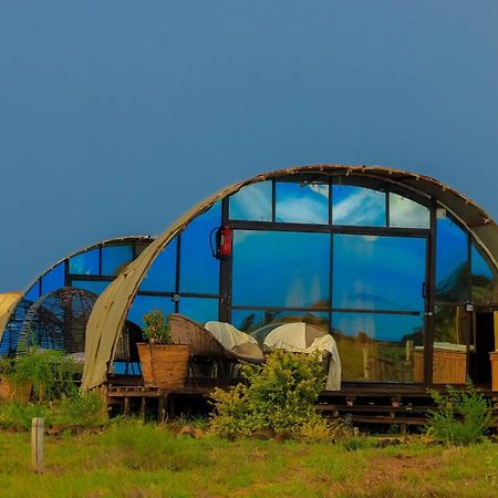 Amanya 2-Rooms Lioness Family Amboseli-Nationalpark Exterior foto