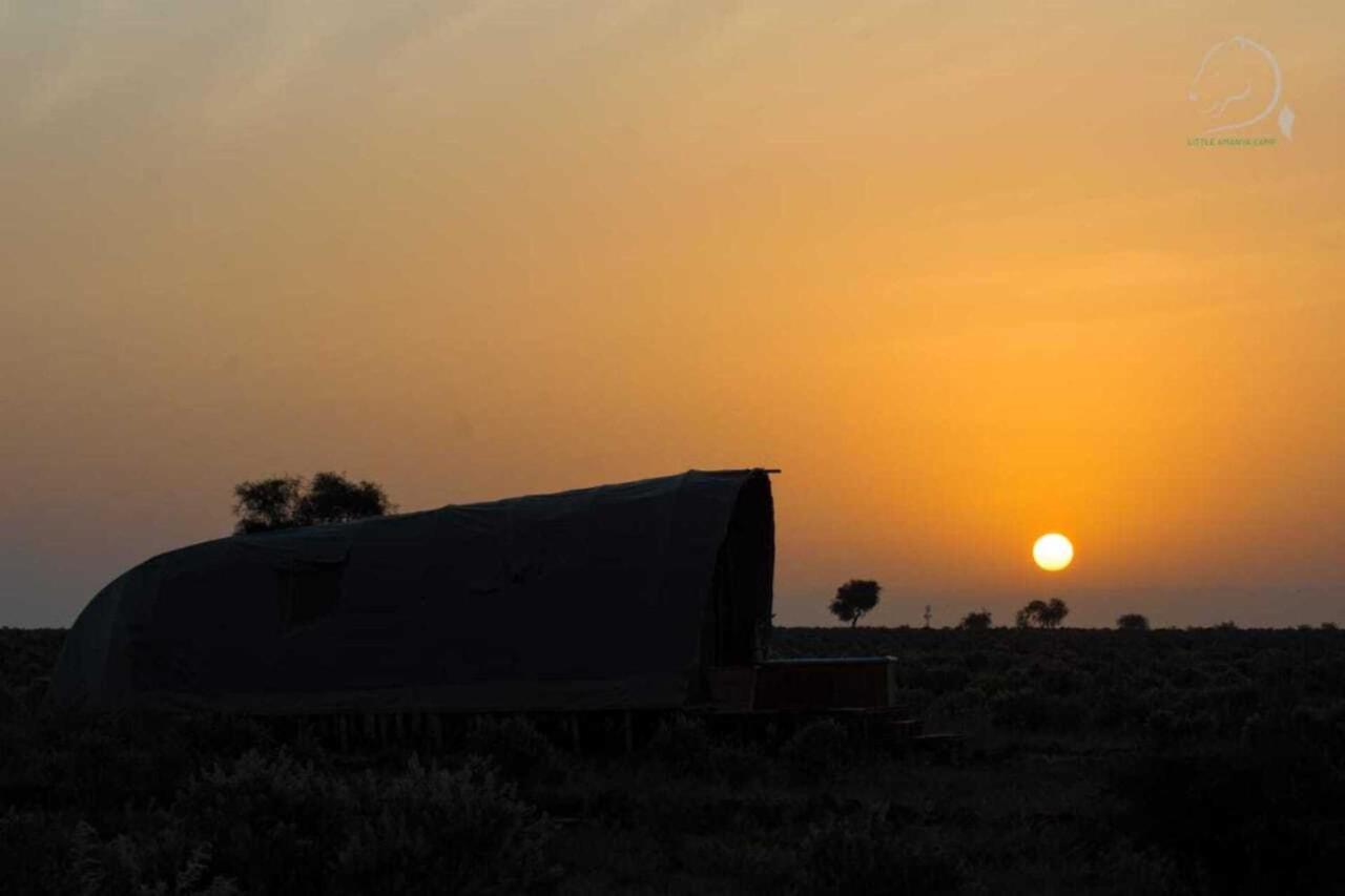 Amanya 2-Rooms Lioness Family Amboseli-Nationalpark Exterior foto